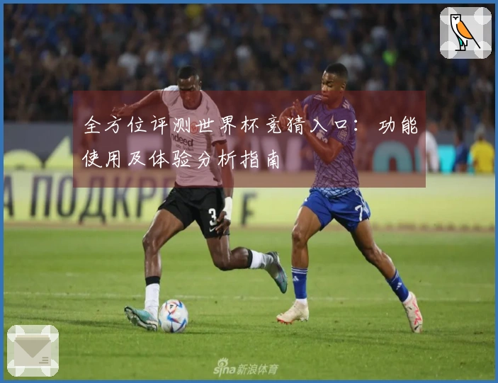 全方位评测世界杯竞猜入口：功能使用及体验分析指南