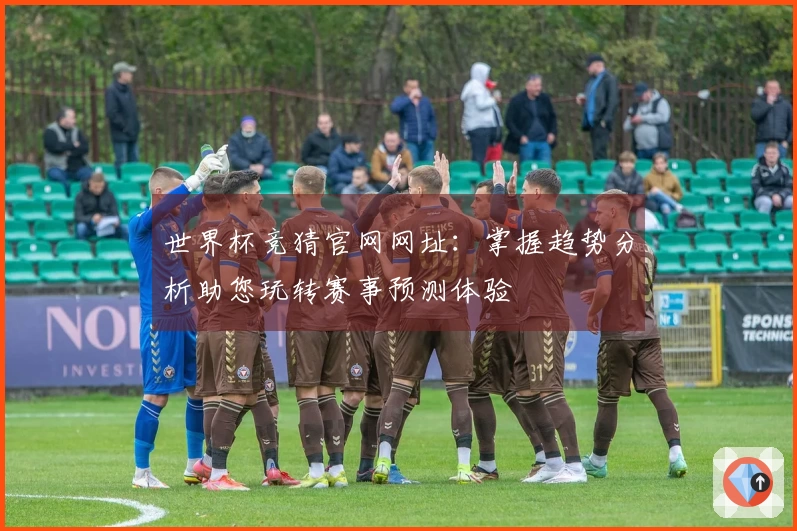 世界杯竞猜官网网址：掌握趋势分析助您玩转赛事预测体验