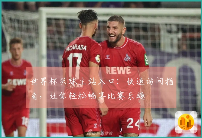 世界杯买球主站入口：快速访问指南，让你轻松畅享比赛乐趣