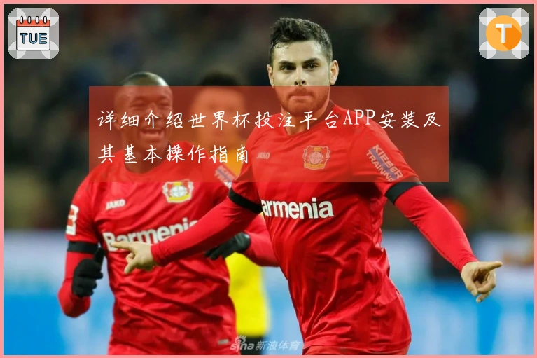 详细介绍世界杯投注平台APP安装及其基本操作指南