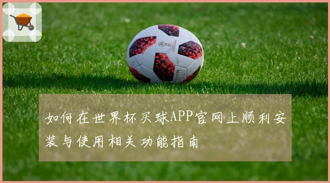 如何在世界杯买球APP官网上顺利安装与使用相关功能指南