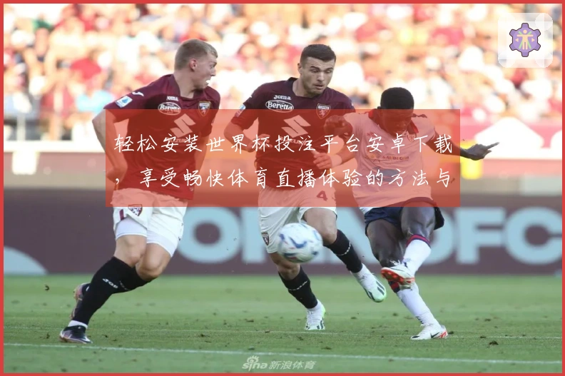 轻松安装世界杯投注平台安卓下载，享受畅快体育直播体验的方法与步骤