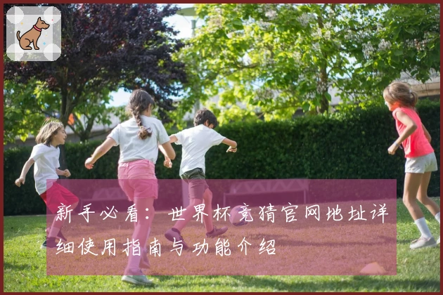 新手必看：世界杯竞猜官网地址详细使用指南与功能介绍