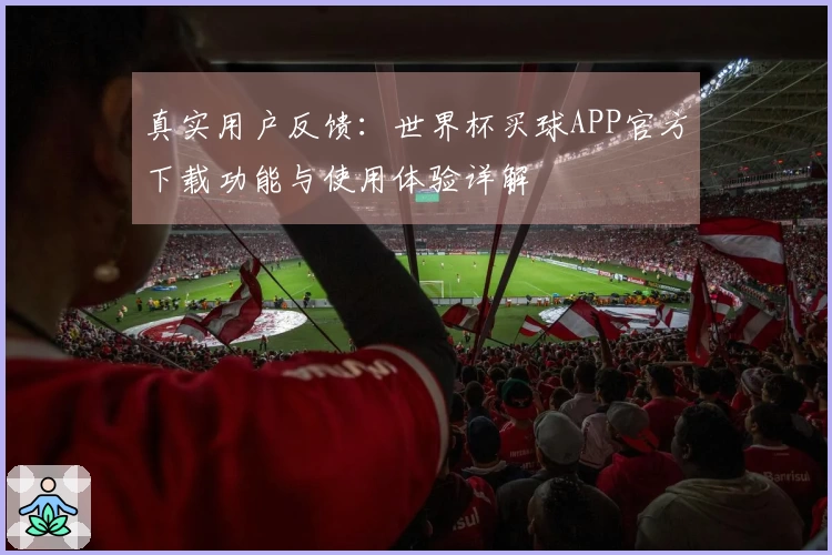 真实用户反馈:世界杯买球APP官方下载功能与使用体验详解