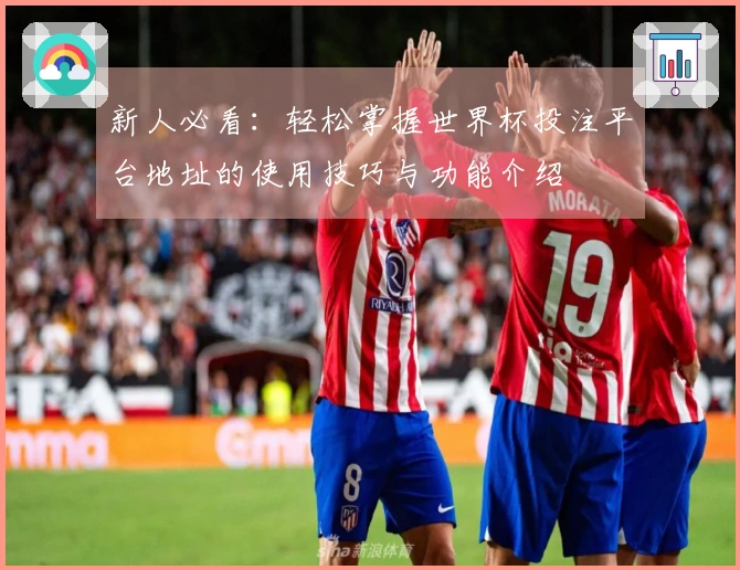 新人必看：轻松掌握世界杯投注平台地址的使用技巧与功能介绍