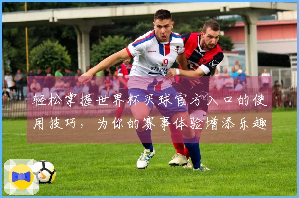 轻松掌握世界杯买球官方入口的使用技巧，为你的赛事体验增添乐趣