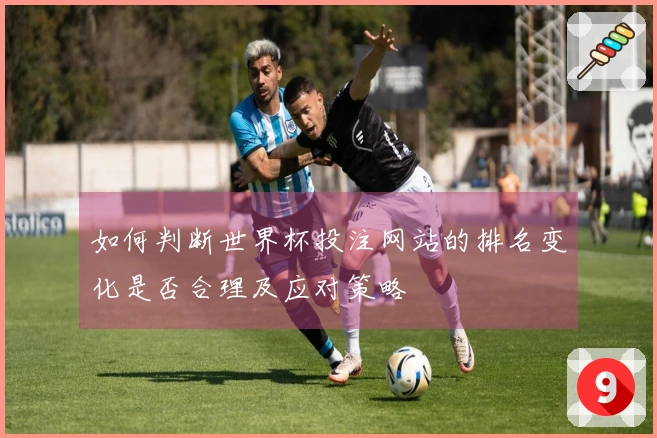 如何判断世界杯投注网站的排名变化是否合理及应对策略