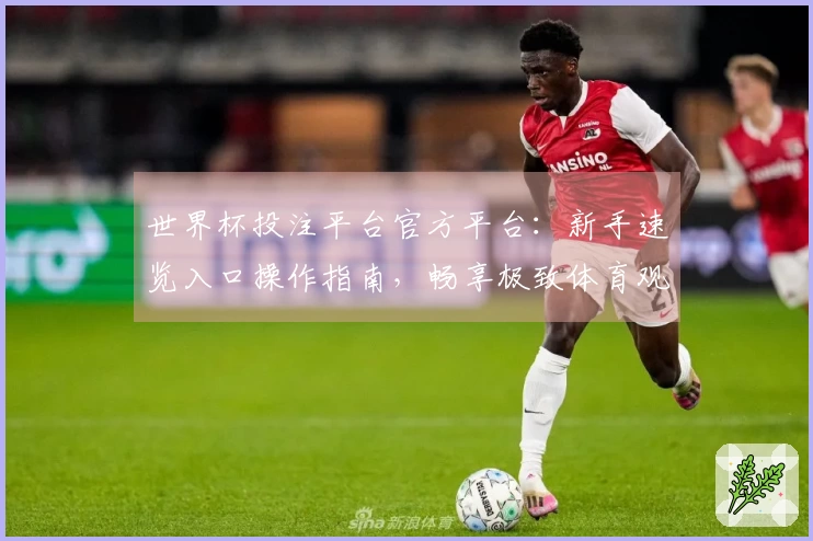 世界杯投注平台官方平台：新手速览入口操作指南，畅享极致体育观赛体验
