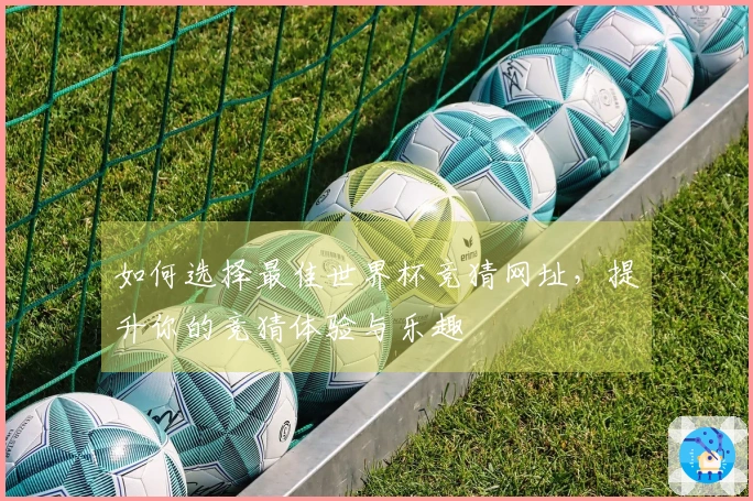 如何选择最佳世界杯竞猜网址，提升你的竞猜体验与乐趣
