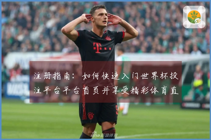 注册指南：如何快速入门世界杯投注平台平台首页并享受精彩体育直播
