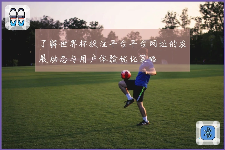 了解世界杯投注平台平台网址的发展动态与用户体验优化策略