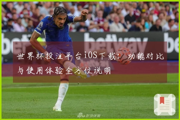 世界杯投注平台iOS下载：功能对比与使用体验全方位说明